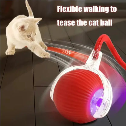 Interactive Electric Pet Ball Chaser with USB Rechargeable LED Light and Built-In Rope Attachment - Three Play Modes for Indoor Cats and Small Dogs, Encouraging Natural Chasing and Enhancing Well-Being